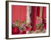 Flower Boxes on Storefronts, Savannah, Georgia, USA-Julie Eggers-Framed Photographic Print