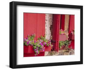 Flower Boxes on Storefronts, Savannah, Georgia, USA-Julie Eggers-Framed Photographic Print