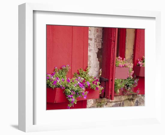 Flower Boxes on Storefronts, Savannah, Georgia, USA-Julie Eggers-Framed Photographic Print