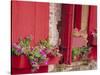 Flower Boxes on Storefronts, Savannah, Georgia, USA-Julie Eggers-Stretched Canvas