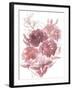 Flower Burst I-Katrien Soeffers-Framed Giclee Print