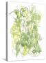Flower Burst IV-Katrien Soeffers-Stretched Canvas
