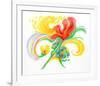 Flower Burst-Ronald Julius Christensen-Framed Collectable Print