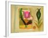 Flower Burst-Michael Chase-Framed Giclee Print