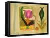 Flower Burst-Michael Chase-Framed Stretched Canvas