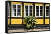 Flower Bush before a Historic House in Ribe, Denmark's Oldest Surviving City, Jutland, Denmark-Michael Runkel-Framed Stretched Canvas