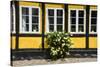 Flower Bush before a Historic House in Ribe, Denmark's Oldest Surviving City, Jutland, Denmark-Michael Runkel-Stretched Canvas