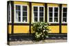 Flower Bush before a Historic House in Ribe, Denmark's Oldest Surviving City, Jutland, Denmark-Michael Runkel-Stretched Canvas