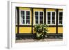 Flower Bush before a Historic House in Ribe, Denmark's Oldest Surviving City, Jutland, Denmark-Michael Runkel-Framed Photographic Print