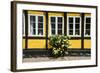 Flower Bush before a Historic House in Ribe, Denmark's Oldest Surviving City, Jutland, Denmark-Michael Runkel-Framed Photographic Print