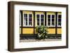 Flower Bush before a Historic House in Ribe, Denmark's Oldest Surviving City, Jutland, Denmark-Michael Runkel-Framed Photographic Print