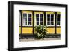 Flower Bush before a Historic House in Ribe, Denmark's Oldest Surviving City, Jutland, Denmark-Michael Runkel-Framed Photographic Print