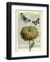 Flower & Butterflies-Marion Mcconaghie-Framed Art Print