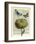 Flower & Butterflies-Marion Mcconaghie-Framed Art Print