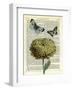 Flower & Butterflies-Marion Mcconaghie-Framed Art Print