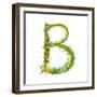 Flower Calligraphy Floral Elegant Decorative Alphabet Letter B. Intricate Sign. Floral Summer Color-Popmarleo-Framed Art Print