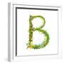 Flower Calligraphy Floral Elegant Decorative Alphabet Letter B. Intricate Sign. Floral Summer Color-Popmarleo-Framed Art Print