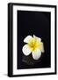 Flower Candle on Black-BeeManGuitarRa-Framed Premium Photographic Print