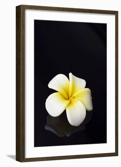 Flower Candle on Black-BeeManGuitarRa-Framed Photographic Print