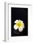 Flower Candle on Black-BeeManGuitarRa-Framed Photographic Print