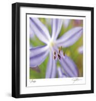 Flower Center-Ken Bremer-Framed Limited Edition