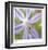 Flower Center-Ken Bremer-Framed Limited Edition