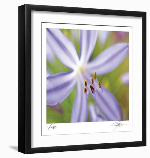 Flower Center-Ken Bremer-Framed Limited Edition