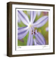 Flower Center-Ken Bremer-Framed Limited Edition