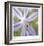 Flower Center-Ken Bremer-Framed Limited Edition