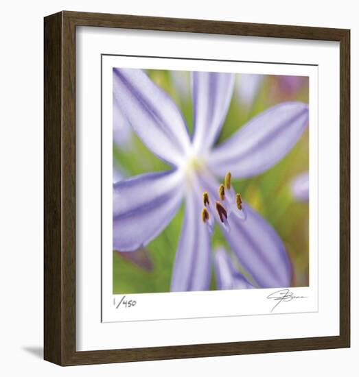 Flower Center-Ken Bremer-Framed Limited Edition