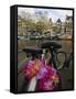 Flower Chain Holding Two Bicycles Together, Amsterdam, Netherlands, Europe-Amanda Hall-Framed Stretched Canvas