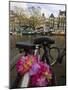 Flower Chain Holding Two Bicycles Together, Amsterdam, Netherlands, Europe-Amanda Hall-Mounted Photographic Print
