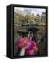 Flower Chain Holding Two Bicycles Together, Amsterdam, Netherlands, Europe-Amanda Hall-Framed Stretched Canvas
