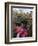 Flower Chain Holding Two Bicycles Together, Amsterdam, Netherlands, Europe-Amanda Hall-Framed Photographic Print