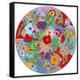 Flower Circle-Howie Green-Framed Stretched Canvas