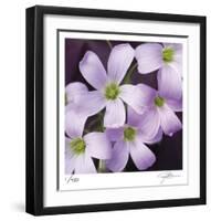 Flower Closeup-Ken Bremer-Framed Limited Edition