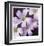 Flower Closeup-Ken Bremer-Framed Limited Edition