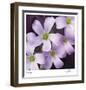 Flower Closeup-Ken Bremer-Framed Limited Edition