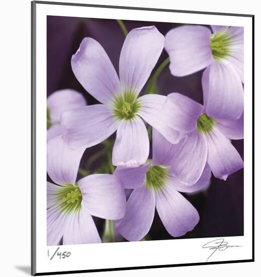 Flower Closeup-Ken Bremer-Mounted Limited Edition