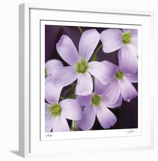 Flower Closeup-Ken Bremer-Framed Limited Edition