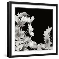 Flower Cluster 2-Jim Christensen-Framed Photographic Print