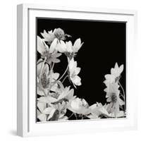 Flower Cluster 2-Jim Christensen-Framed Photographic Print