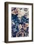 Flower Cluster-Incado-Framed Photographic Print