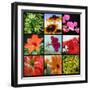 Flower Collage-Herb Dickinson-Framed Photographic Print