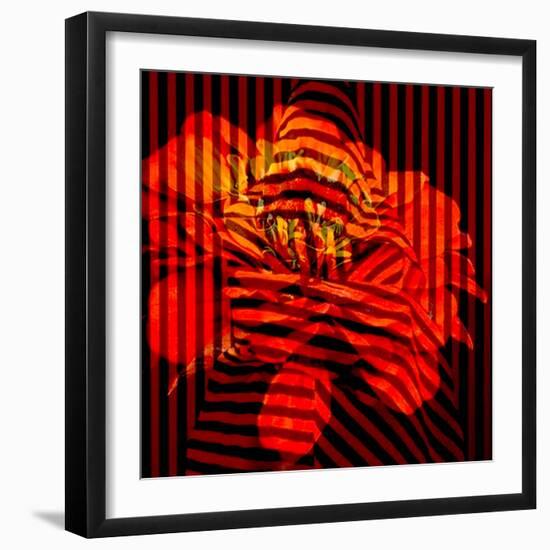 Flower Collage-Linda Arthurs-Framed Giclee Print