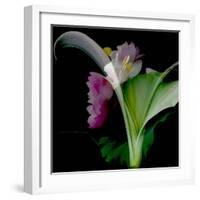 Flower Collage-Linda Arthurs-Framed Giclee Print