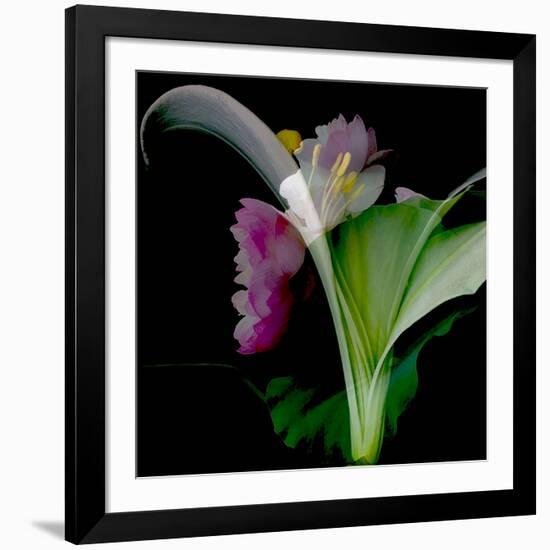 Flower Collage-Linda Arthurs-Framed Giclee Print