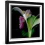 Flower Collage-Linda Arthurs-Framed Giclee Print