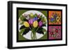 Flower Collage-Bonnie B. Cook-Framed Giclee Print