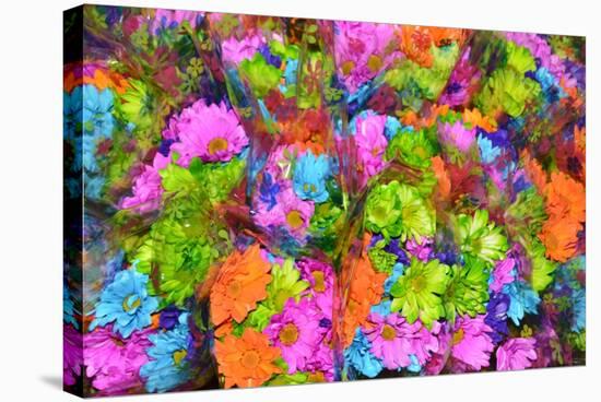 Flower collage-Tom Kelly-Stretched Canvas